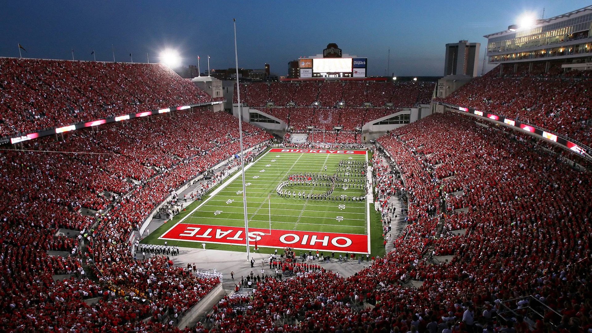 戴维·帕特森的战略眼光，为袋鼠队攻守提供全方位保障，美国戴维森